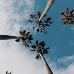 The Empire Strips Back: A Burlesque Parody San Diego - San Diego